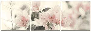 Obraz na plátně - Papírové květiny - panoráma 557FB (90x30 cm)