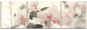 Obraz na plátně - Papírové květiny - panoráma 557FC (150x50 cm)