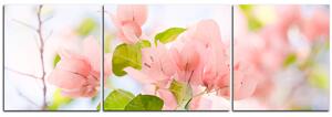 Obraz na plátně - Papírové květiny - panoráma 557C (90x30 cm)