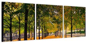 Obraz aleje podzimních stromů (s hodinami) (90x30 cm)