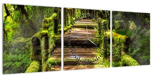 Obraz schodů v deštném pralese (s hodinami) (90x30 cm)