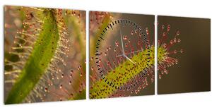 Obraz rostliny (s hodinami) (90x30 cm)