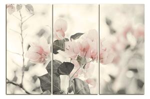Obraz na plátně - Papírové květiny 157FB (90x60 cm )