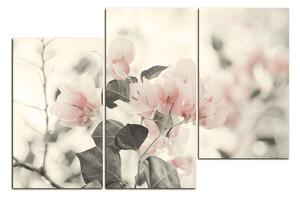 Obraz na plátně - Papírové květiny 157FD (90x60 cm)
