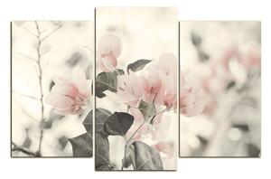 Obraz na plátně - Papírové květiny 157FC (120x80 cm)