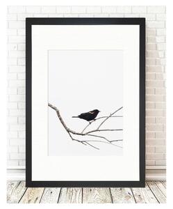 Plakát 24x29 cm Bird on the Branch – Tablo Center