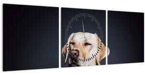 Obraz labradora (s hodinami) (90x30 cm)