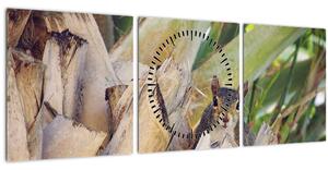 Obraz veverky na stromu (s hodinami) (90x30 cm)