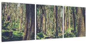 Obraz cesty mezi stromy (s hodinami) (90x30 cm)