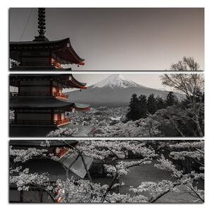 Obraz na plátně - Pohled na horu Fuji - čtverec 361FD (75x75 cm)