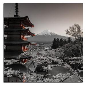 Obraz na plátně - Pohled na horu Fuji - čtverec 361FA (50x50 cm)