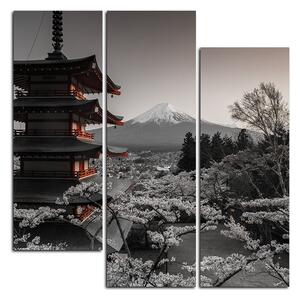 Obraz na plátně - Pohled na horu Fuji - čtverec 361FC (75x75 cm)