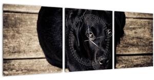 Obraz černého štěněte (s hodinami) (90x30 cm)
