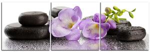 Obraz na plátně - Lávové kameny a fialové květy - panoráma 563B (90x30 cm)