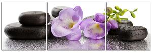 Obraz na plátně - Lávové kameny a fialové květy - panoráma 563C (90x30 cm)
