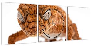 Obraz ještěrky (s hodinami) (90x30 cm)