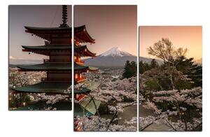 Obraz na plátně - Pohled na horu Fuji 161C (120x80 cm)