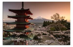 Obraz na plátně - Pohled na horu Fuji 161A (100x70 cm)