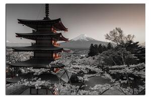 Obraz na plátně - Pohled na horu Fuji 161FA (100x70 cm)
