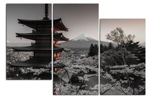 Obraz na plátně - Pohled na horu Fuji 161FC (150x100 cm)