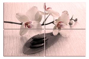 Slika na platnu - Cvjetovi orhideja 162FC (150x100 cm)