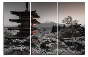 Obraz na plátně - Pohled na horu Fuji 161FB (90x60 cm )