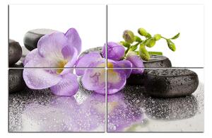 Obraz na plátně - Lávové kameny a fialové květy 163D (90x60 cm)