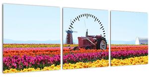 Obraz tulipánové farmy (s hodinami) (90x30 cm)