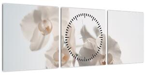 Obraz bílé orchideje (s hodinami) (90x30 cm)