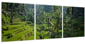 Obraz rýžových teras Tegalalang, Bali (s hodinami) (90x30 cm)
