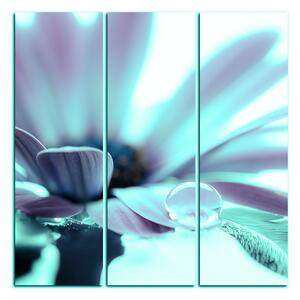 Obraz na plátně - Kapka rosy na lupenech květu - čtverec 380FB (75x75 cm)