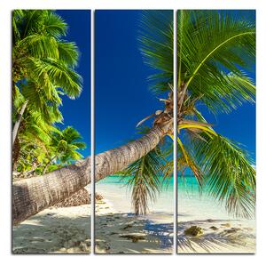 Obraz na plátně - Pláž s palmami - čtverec 384B (105x105 cm)