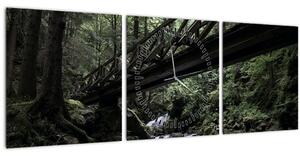 Obraz z černého lesa (s hodinami) (90x30 cm)