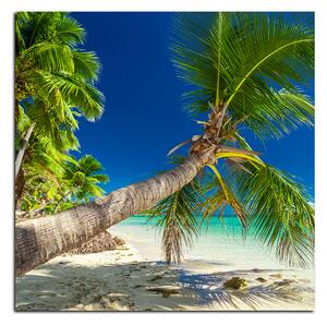 Obraz na plátně - Pláž s palmami - čtverec 384A (50x50 cm)