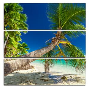 Obraz na plátně - Pláž s palmami - čtverec 384C (75x75 cm)