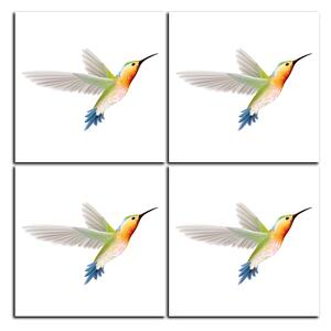 Obraz na plátně - Kolibřík na bílém pozadí - čtverec 389B (60x60 cm)
