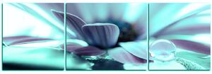 Obraz na plátně - Kapka rosy na lupenech květu - panoráma 580FC (90x30 cm)
