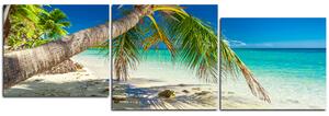 Obraz na plátně - Pláž s palmami - panoráma 584D (120x40 cm)