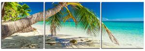 Obraz na plátně - Pláž s palmami - panoráma 584C (150x50 cm)