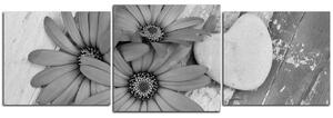 Obraz na plátně - Květy a kamenné srdce - panoráma 583QD (90x30 cm)