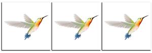 Obraz na plátně - Kolibřík na bílém pozadí - panoráma 589A (150x50 cm)