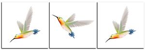 Obraz na plátně - Kolibřík na bílém pozadí - panoráma 589C (150x50 cm)