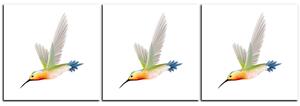 Obraz na plátně - Kolibřík na bílém pozadí - panoráma 589B (150x50 cm)