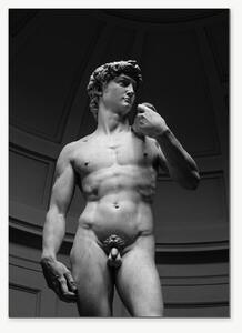 David – černobílá fotografie renesanční sochy – Jednodílný obraz, 50 × 70 cm