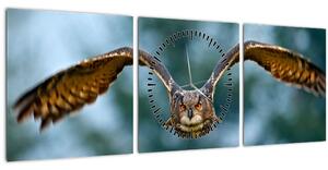 Obraz - Sova při letu (s hodinami) (90x30 cm)