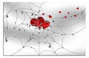 Obraz na plátně - Srdce v stříbrné pavučině 178A (90x60 cm )