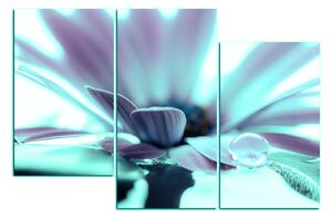 Obraz na plátně - Kapka rosy na lupenech květu 180FC (120x80 cm)