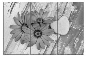Obraz na plátně - Květy a kamenné srdce 183QB (120x80 cm)
