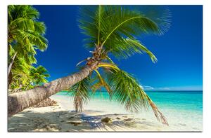Obraz na plátně - Pláž s palmami 184A (60x40 cm)