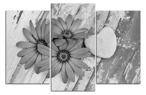 Obraz na plátně - Květy a kamenné srdce 183QC (120x80 cm)